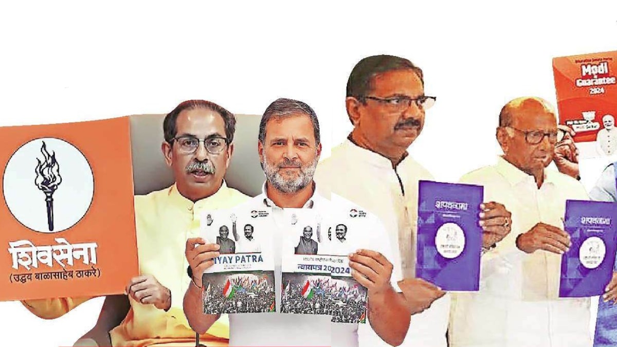 Elections political party voters Manifestos of political parties