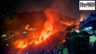 loksatta analysis causes of forest fires in uttarakhand