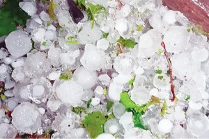 imd orange alert for hailstrom in wardha and Amravati cause of hailstorm in vidarbha