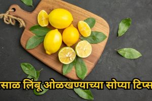 how to pick juicy lemons