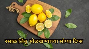 how to pick juicy lemons