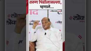 Sharad Pawar advises on the political situation and the attitude of the youth