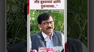 Sanjay Raut criticized Devendra Fadanvis over loksabha election