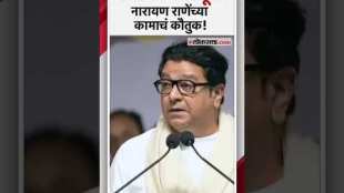 Raj Thackeray say about Narayan Rane in the campaign meeting in Kankavli