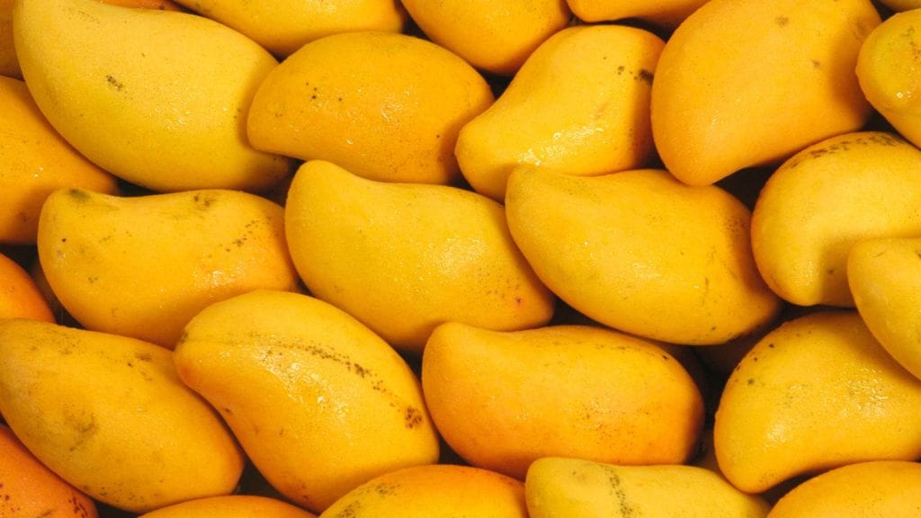 summer special mango