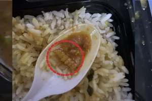indian railways irctc passanger shares pic of food containing insects in gorakhpur mumbai kashi express post went viral