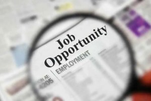 job Opportunity Opportunities in Maharashtra Govt