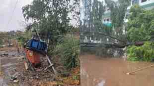 nashik, Unseasonal Rain, Unseasonal Rain in nashik, Storms Wreak Havoc in Nashik, Houses Damaged, Crops Affected, nashik news, marathi news, nashik