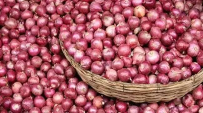 onion crisis central government lifts ban on onion export before lok sabha poll
