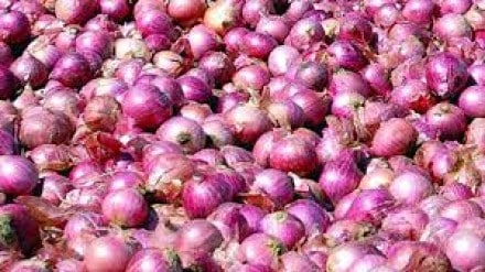Onion exports continue but Onion prices rate down in market