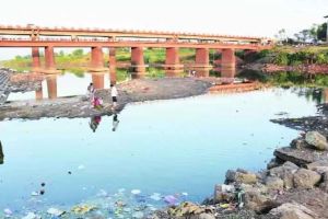 Take time-bound action against factors polluting the Panchganga river