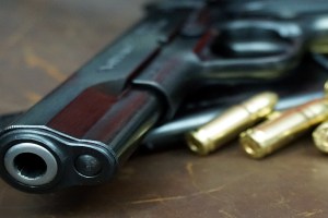 firearms, Thane, seized,