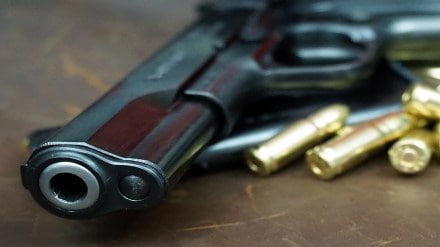firearms, Thane, seized,