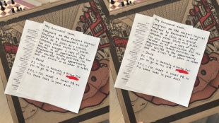 resume with pizza delivery viral post