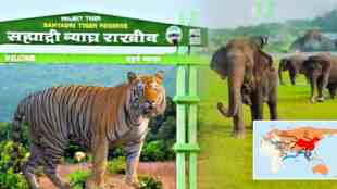 Sahyadri Tiger Reserve, Conduct Animal Census, Buddha Purnima Day 2024, Buddha Purnima Day, sangli, kolhapur, forest department, marathi news,