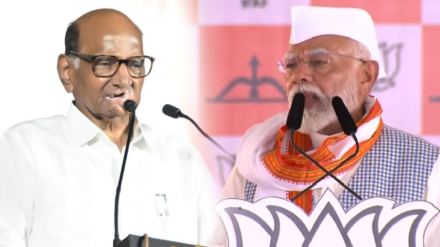 sharad pawar narendra modi (1)