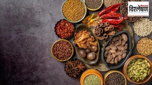 Loksatta explained When will the controversy over Indian spices be resolved