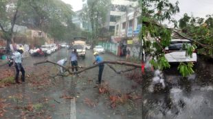 Trees fell at ten places in the city due to heavy rains Traffic disruption