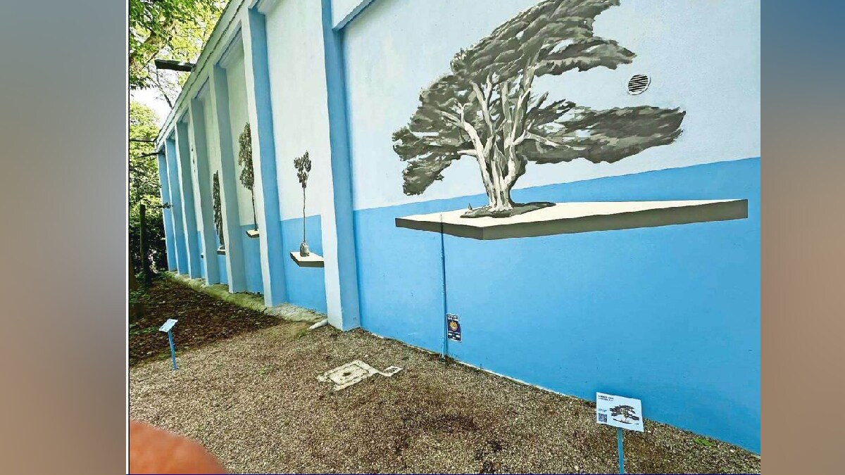 Art Climate Environment Documenta Environmental protection