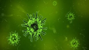 Serum, Maleria vaccine,