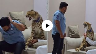 a cheetah attacked on a pakistani man