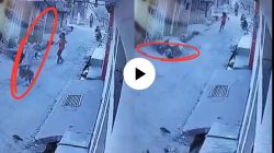 VIDEO : बापरे! चिमुकलीवर मोकाट कुत्र्याने केला हल्ला, व्हिडीओ पाहून अंगावर येईल काटा