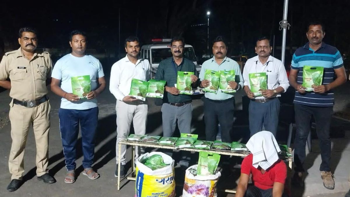 fake seed stocks caught one arrested