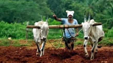 Farmers are in trouble due to rain forecast given by Meteorological Department no rain in second week of June