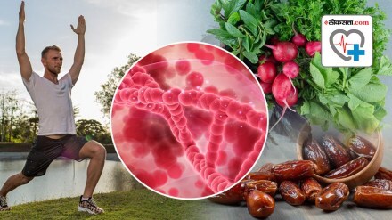 Iron Rich Foods