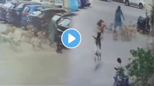 Brave Woman Fights Off Around 15 Stray Dogs With Slipper In Hyderabad shocking video