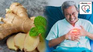 Does chewing a piece of ginger really help after a heart attack