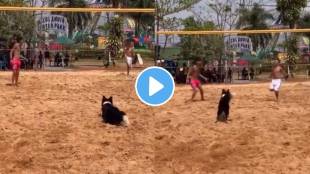 A volleyball loving dog shows off volleyball skills in a match with three humans watch amazing viral video You will shock