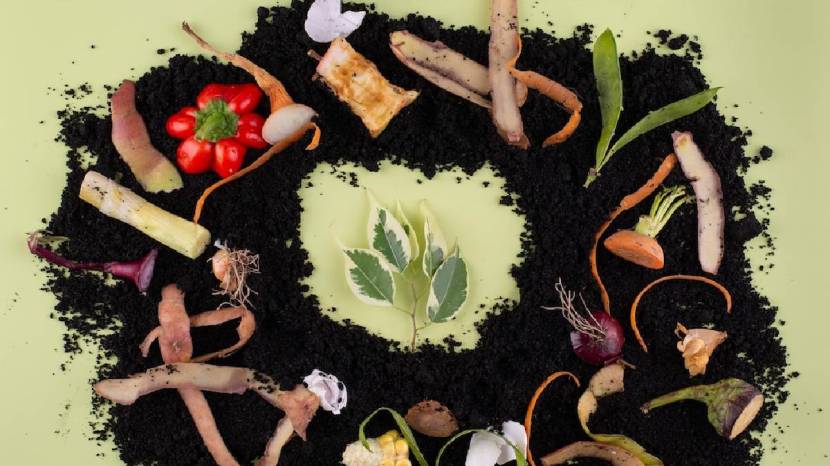Save Money Five Ways in which we can prevent the wastage of food make Meal Plan eat leftover Shop From a List and more 