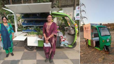 Thane, vegetables,