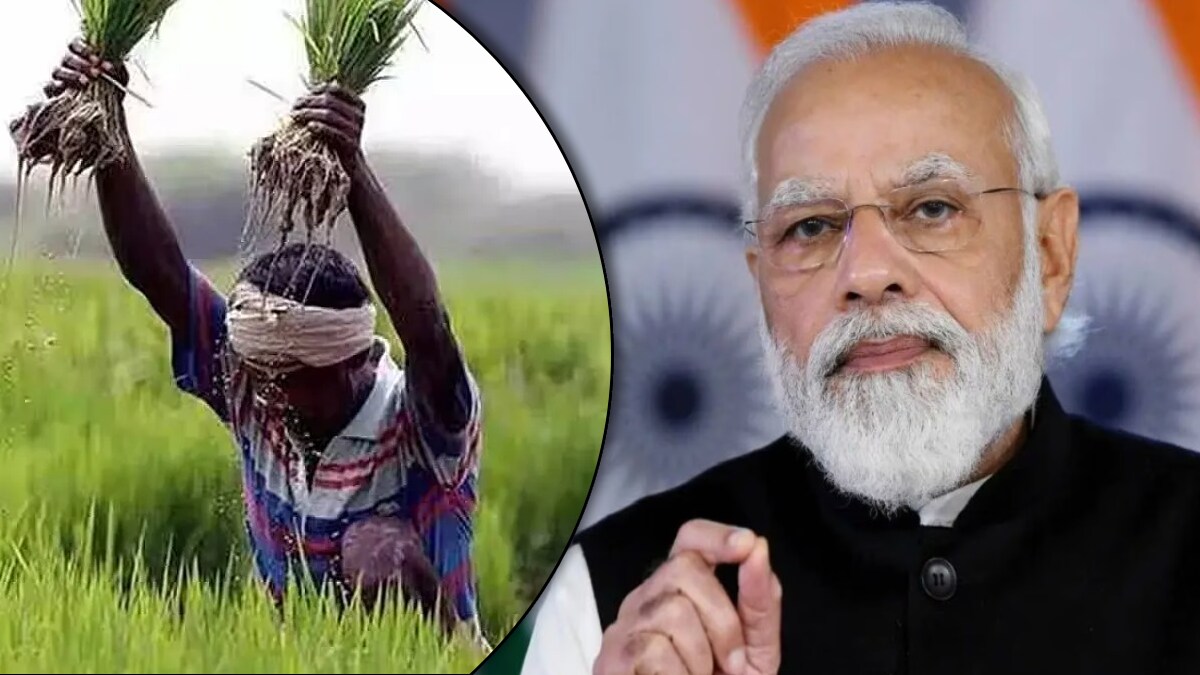 Union Cabinet approves MSP for 14 Kharif crops Marathi News