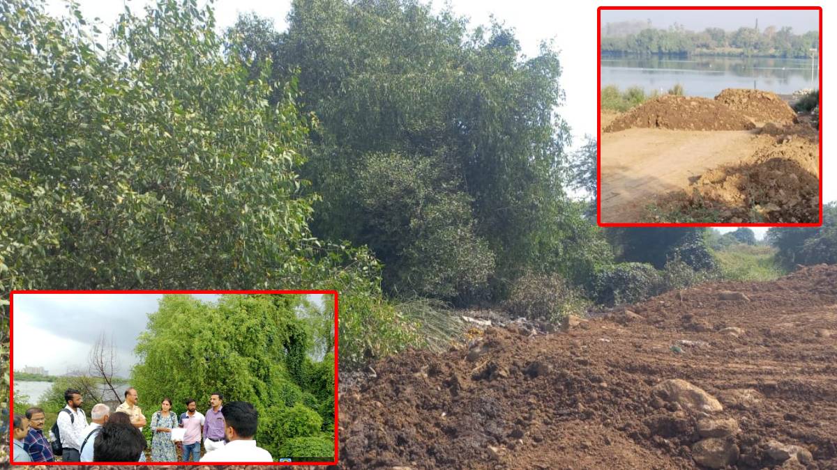 Soil, mangroves, Devichapada,