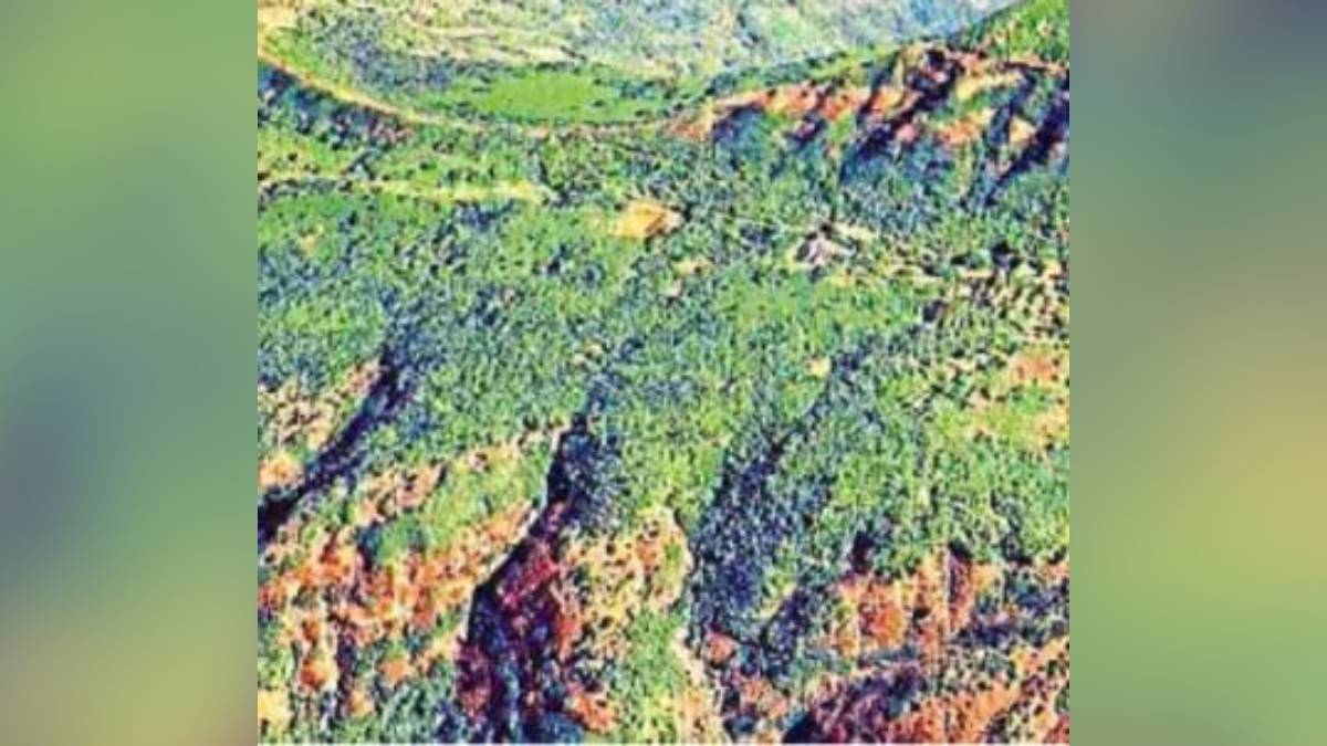 Koyna Khore, land misappropriation,