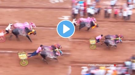 Bailgada sharyat shocking video goes viral on social media Bailgada sharayat permission