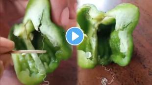 Threadworm in shimla mirchi Viral Video