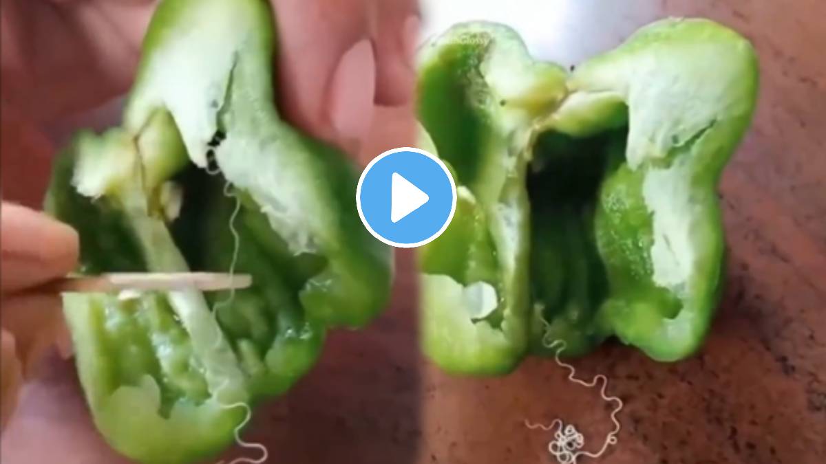 Threadworm in shimla mirchi Viral Video