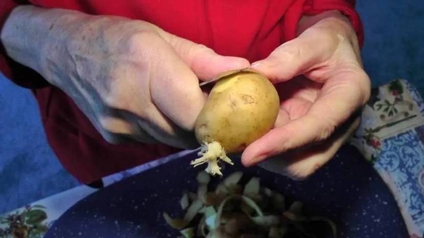 How To Avoid Potatoes Sprouts Money Saving Kitchen Jugaad