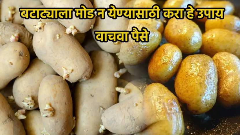 How To Avoid Potatoes Sprouts Money Saving Kitchen Jugaad