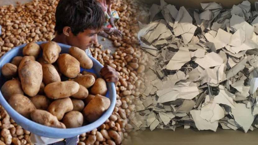 How To Avoid Potatoes Sprouts Money Saving Kitchen Jugaad