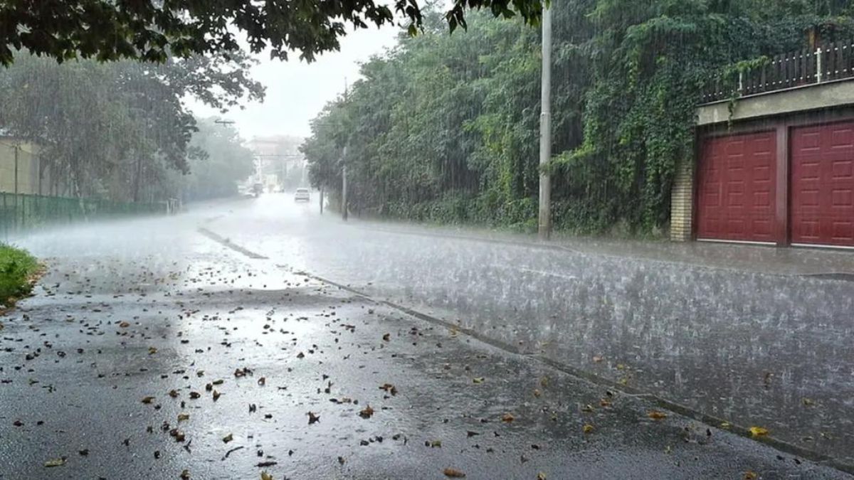 Orange Alert of rain in Vidarbha for next 24 hours