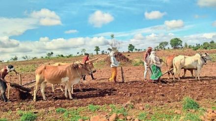 Sowing on lakhs of hectares was stopped water scarcity continued even at the end of June