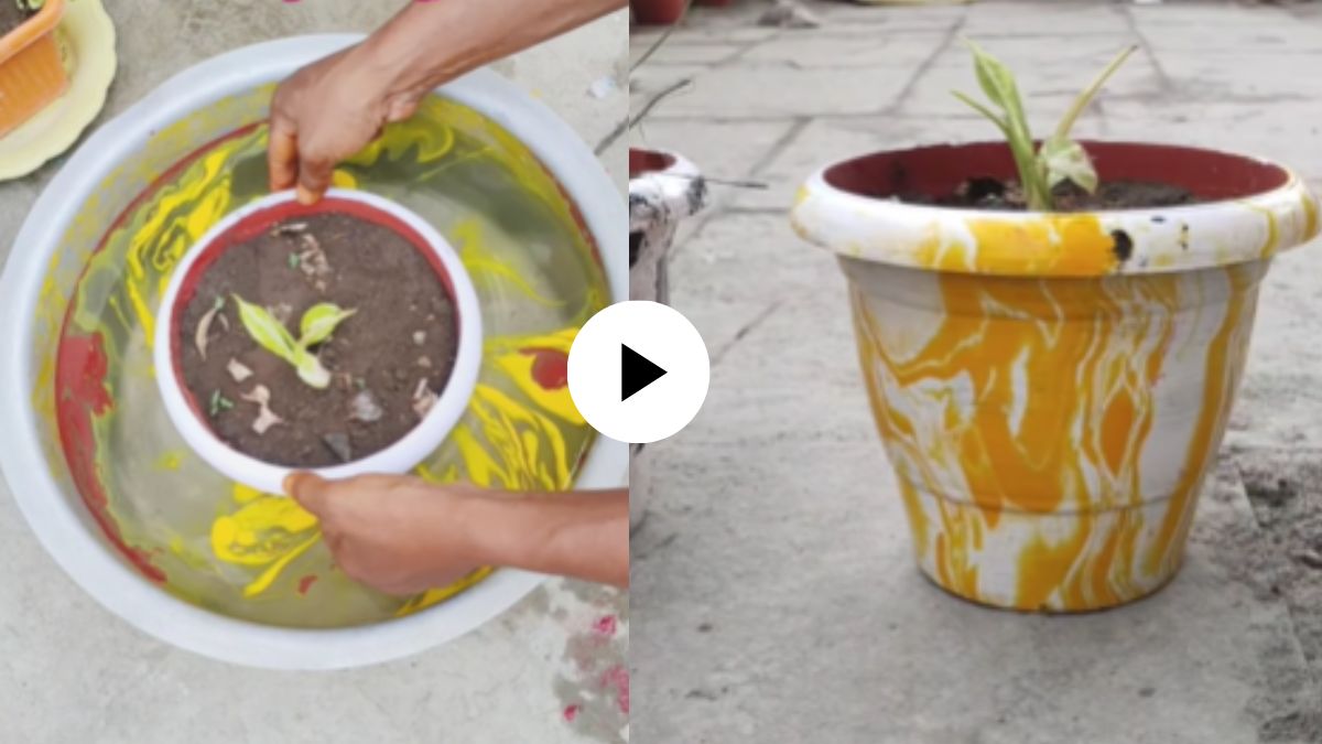 Jugaad Video how to Paint plants Pots in just five minuts