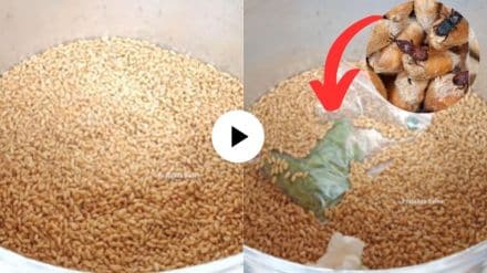 Kitchen Jugaad
