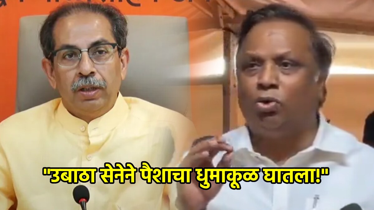 ashish shelar uddhav thackeray (1)