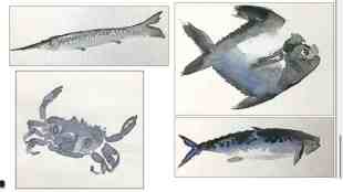 picture painting, picture painting letter, fishes from sea painting, fifty shades of grey, balmaifal, balmaifal article,