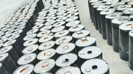 customs department seized 112 tonnes of betel nuts smuggled from united arab emirates